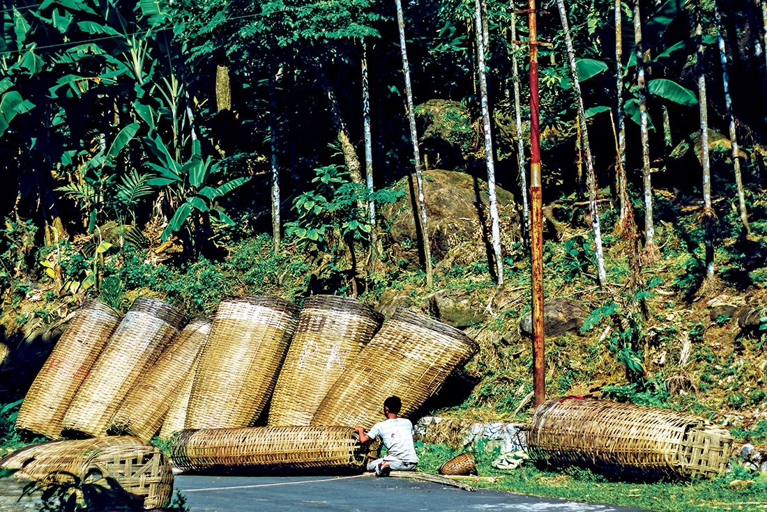 A Walk In The Clouds : Meghalaya