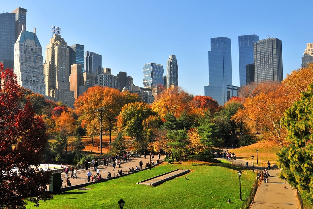 New York New York