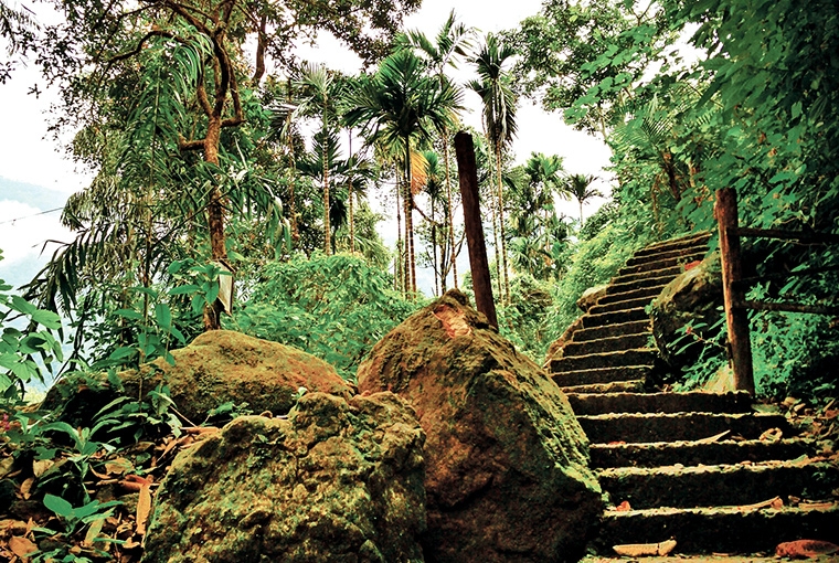 A Walk In The Clouds : Meghalaya Staircase to heaven A Walk In The Clouds : Meghalaya Staircase to heaven