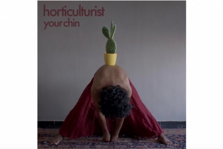 The Horticulturist 
