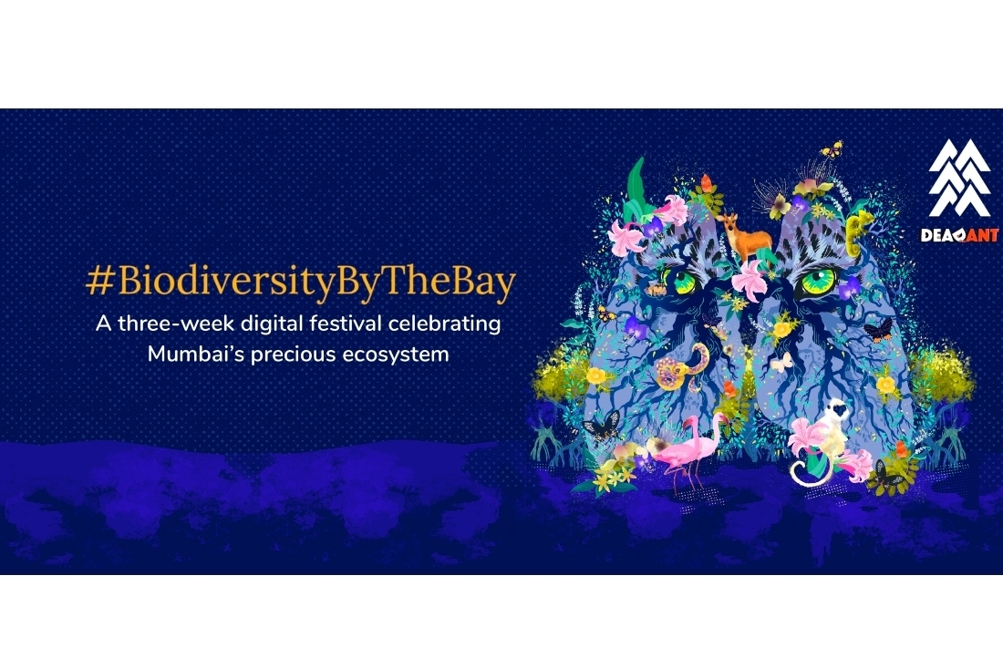 Biodiversity By The Bay Biodiversity By The Bay