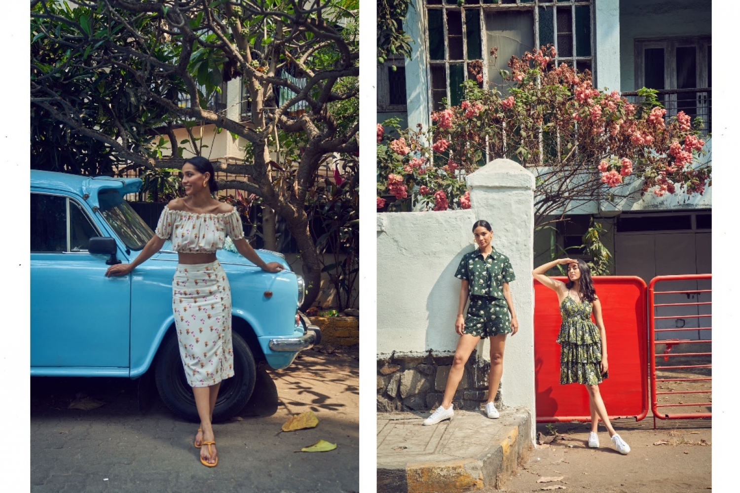 Dandelion: Vintage Boulevard Dandelion: Vintage Boulevard