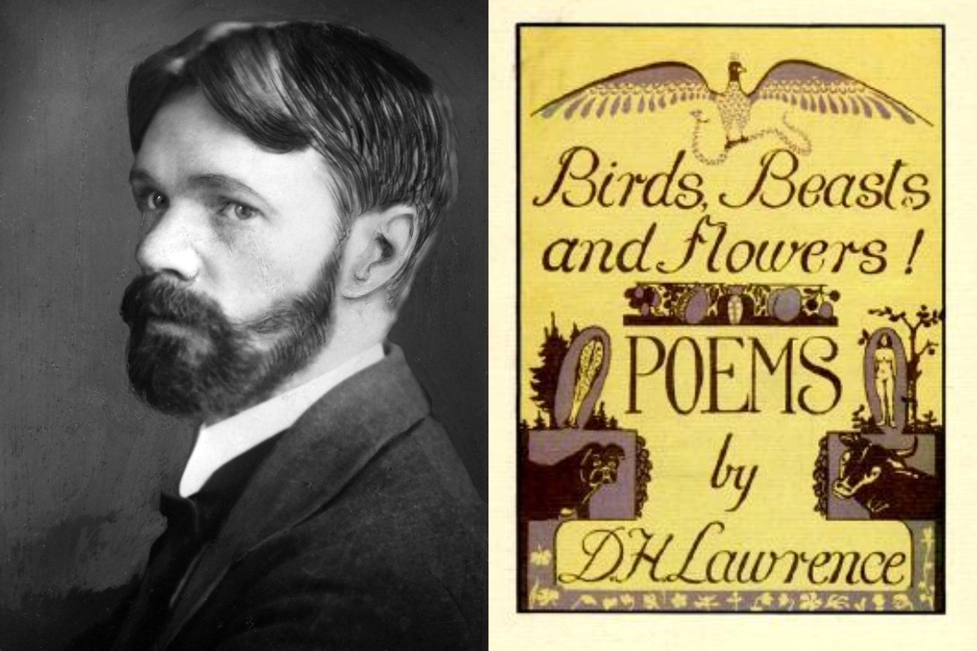 D.H. Lawrence