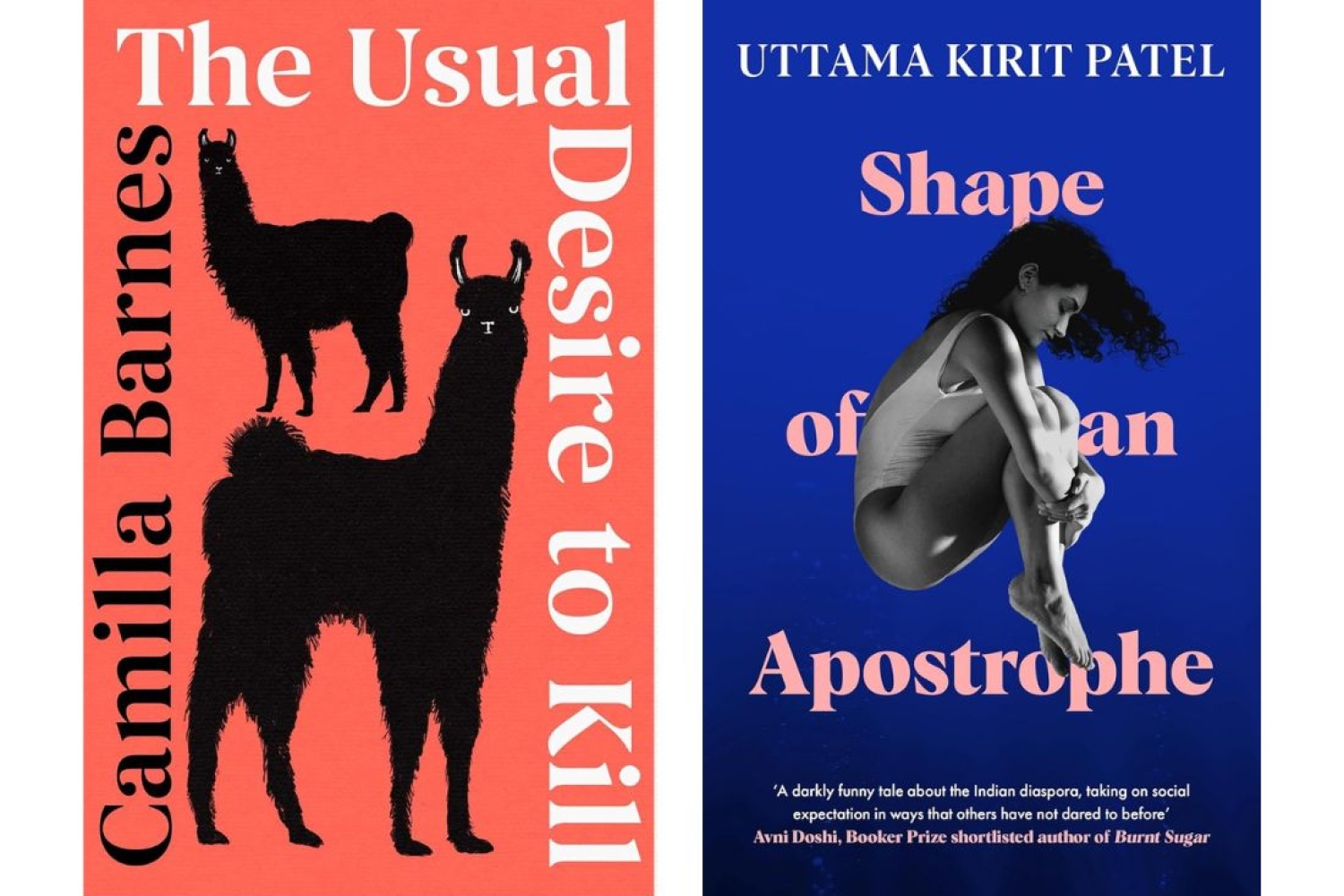 Exciting Debut Voices to Read in April