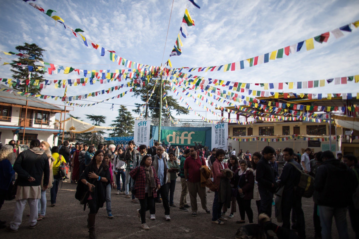 Exciting Festivals to Watch for in the Second Half of 2024 Exciting Festivals to Watch for in the Second Half of 2024