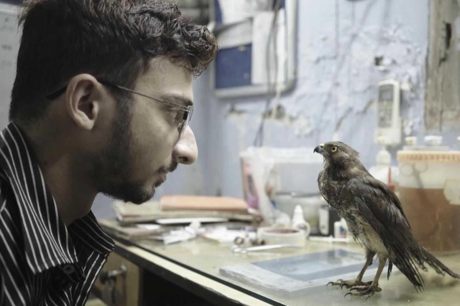 Indian Films at International Film Festivals 2022 Indian Films at International Film Festivals 2022