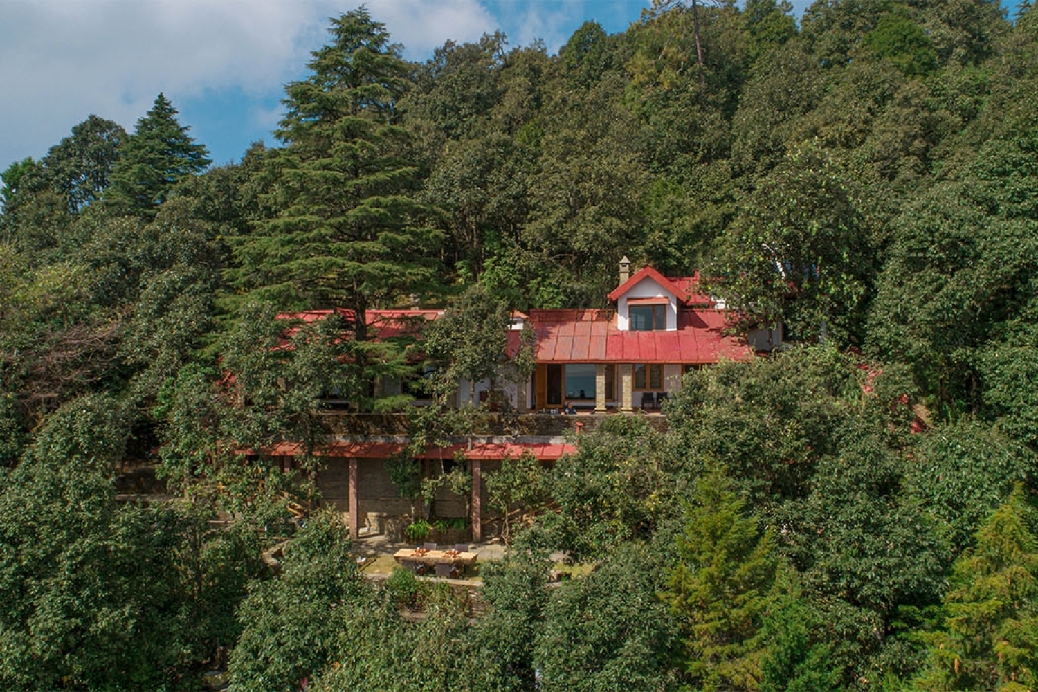 Memories of Binsar's Magical Summer Memories of Binsar's Magical Summer