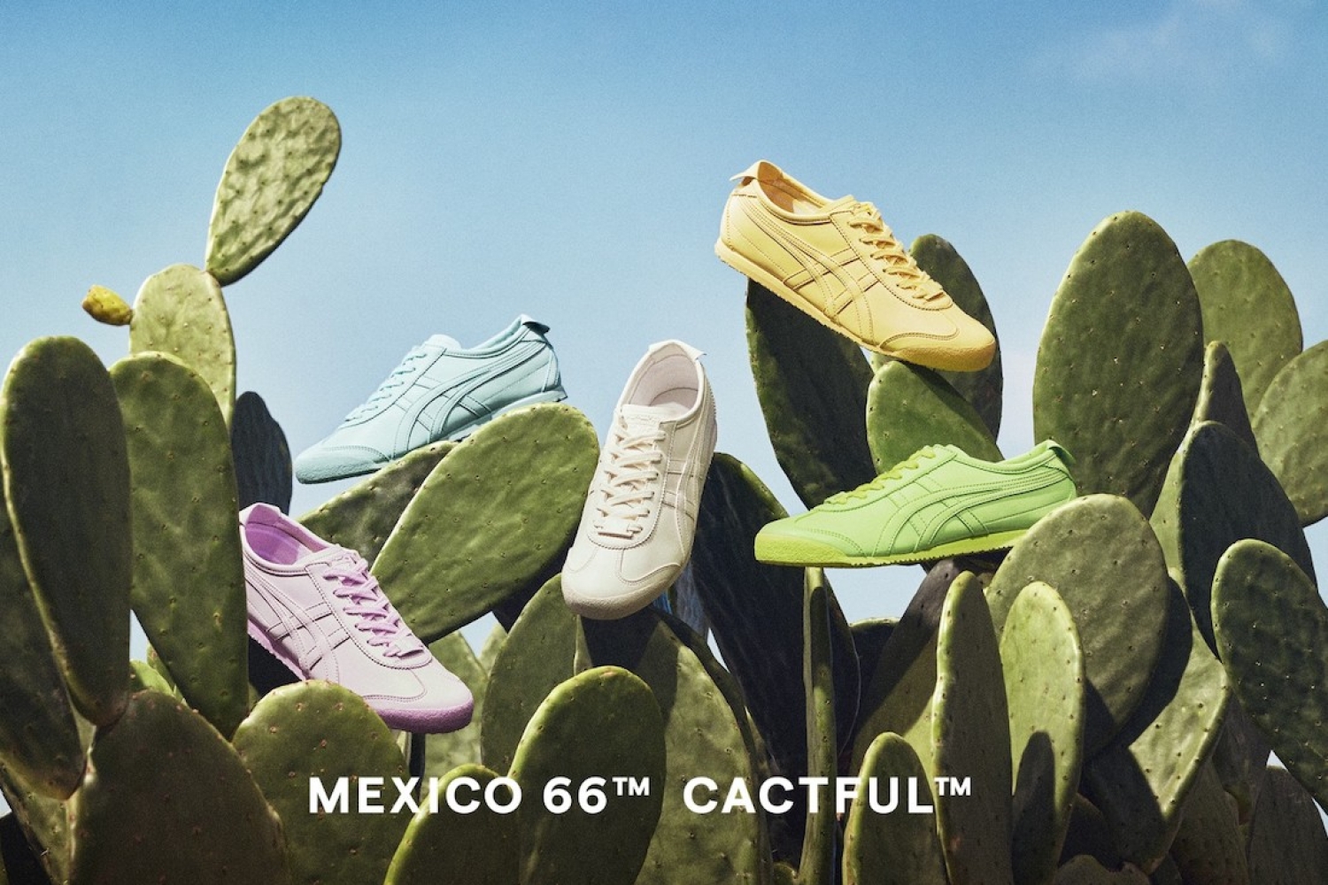 MEXICO 66â„¢ CACTFULâ„¢ MEXICO 66â„¢ CACTFULâ„¢