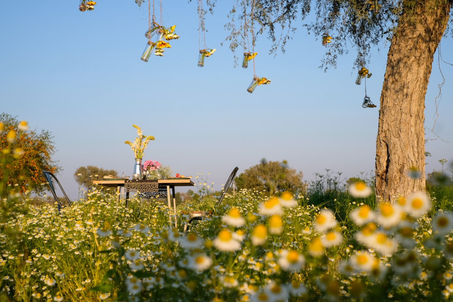 Mharo Khet Mharo Khet