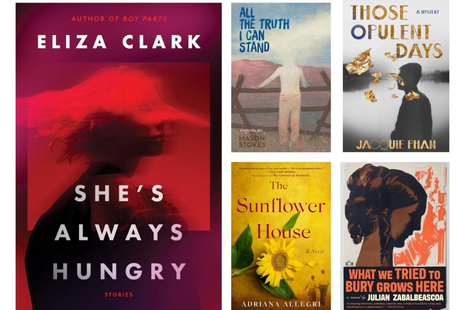 Must-read Debuts in November 2024 Must-read Debuts in November 2024
