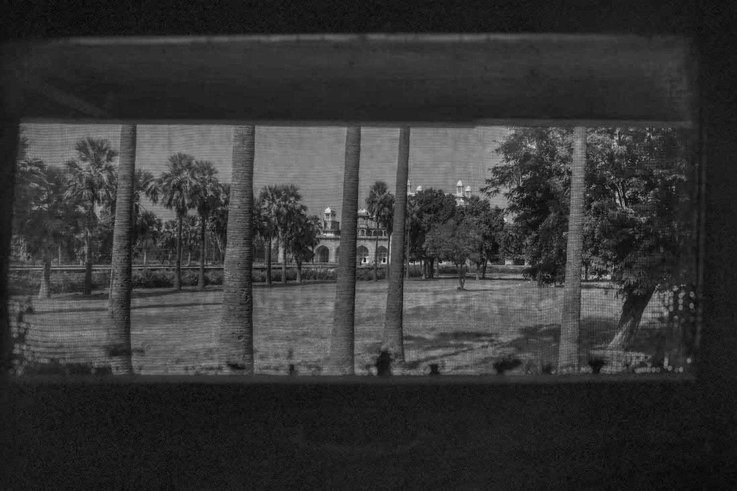 Nature Strikes Back : Photographs by Emmanuel Lenain Nature Strikes Back : Photographs by Emmanuel Lenain