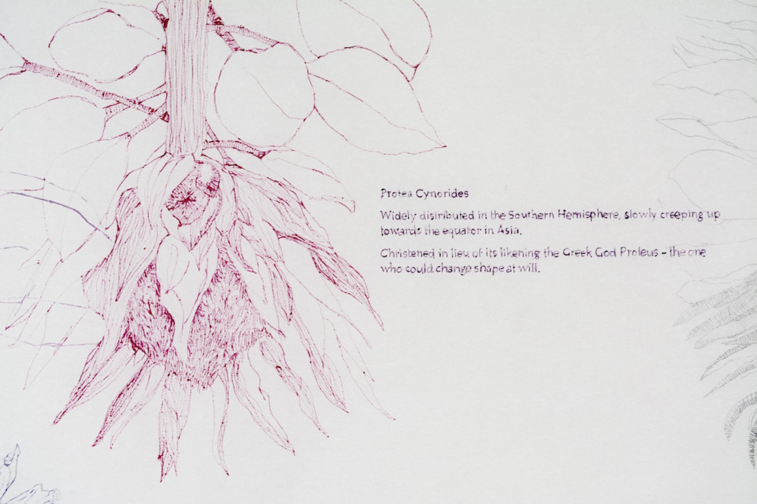 Parsec curated by Nupur Dalmia