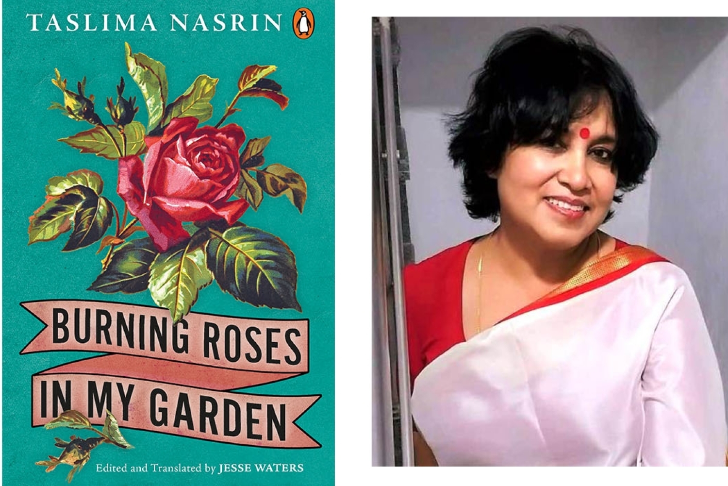 Burning Roses in my Garden