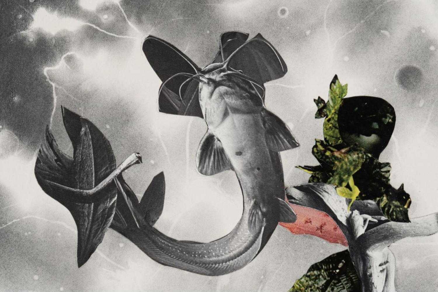 The Ecology of Modern Romance and Other Deaths The Ecology of Modern Romance and Other Deaths