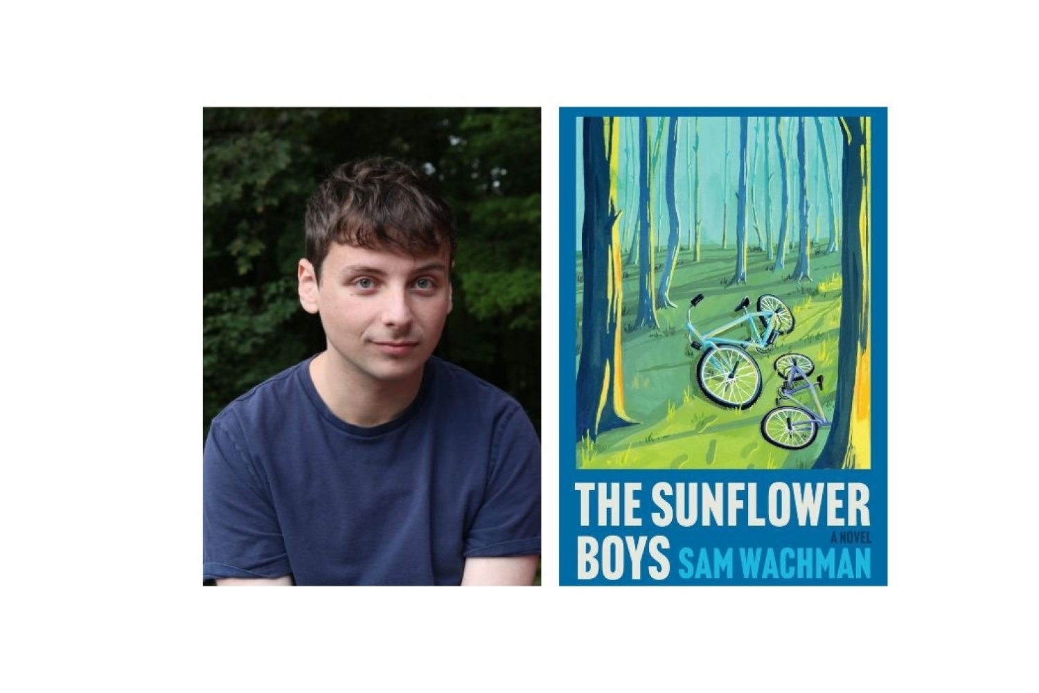 The Sunflower Boys 