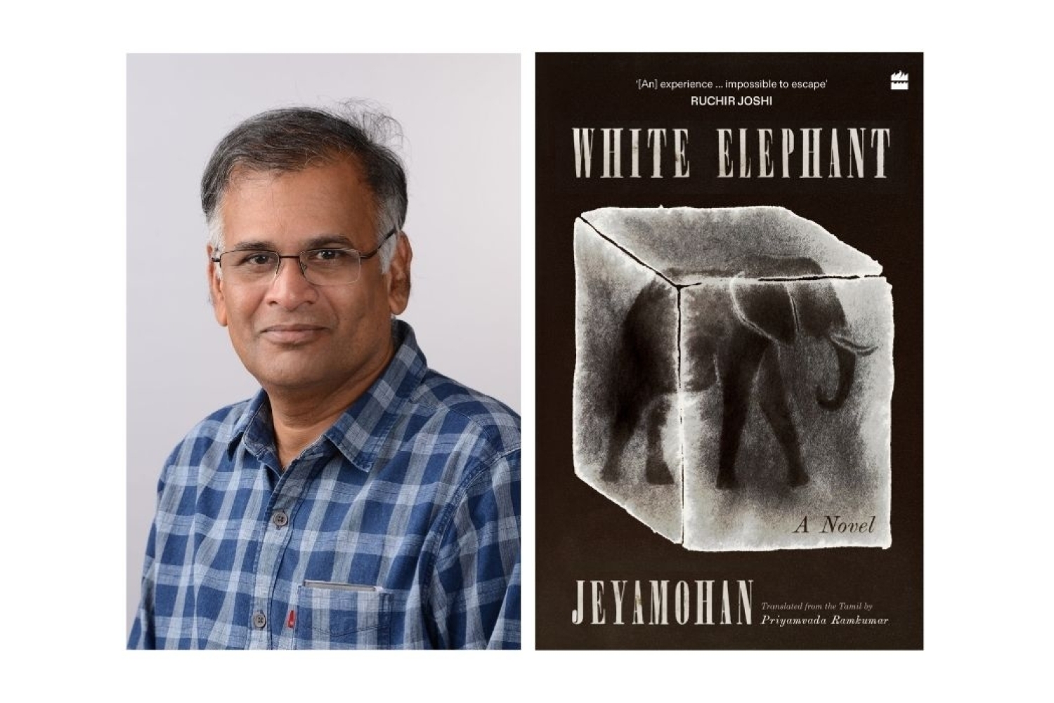 White Elephant 