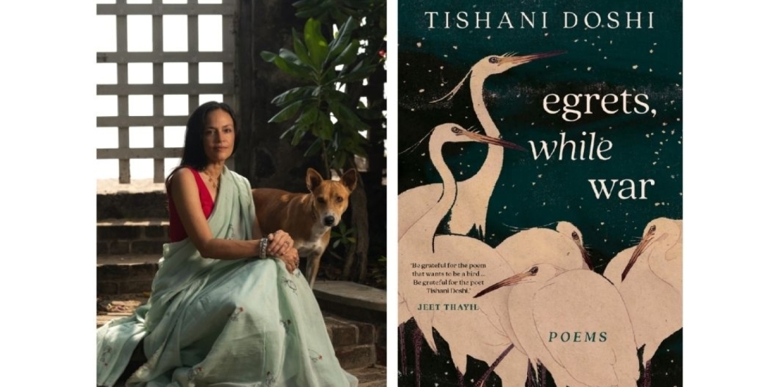 Egrets, While War
