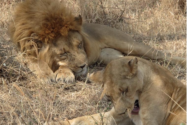 Absurdly Beautiful Africa Absurdly Beautiful Africa