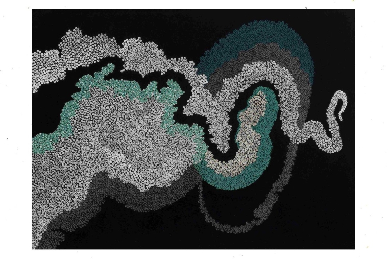 And Then Came Spring... Resonance; Pen, Colored Pencil and Graphite on Acid Free Paper 12 x 16 inches 2018 