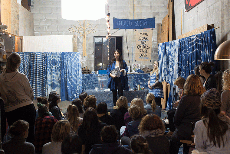 Indigo Social 