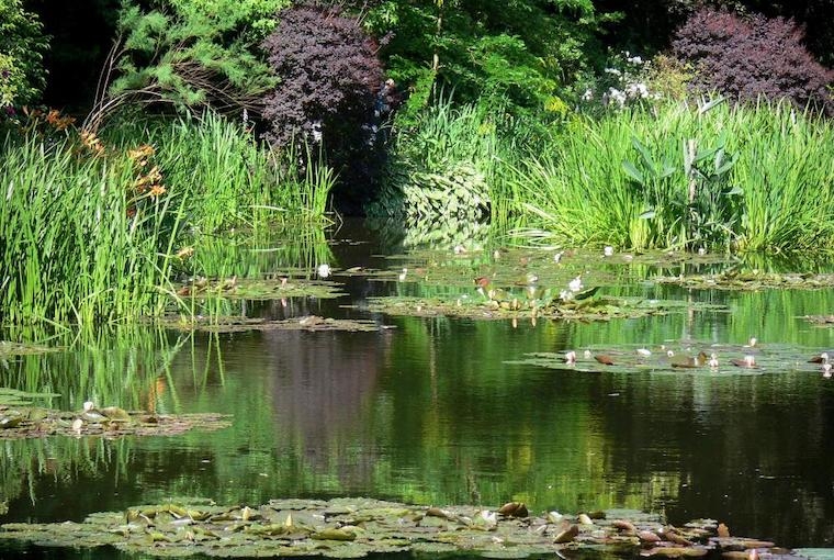 Monet's House The house gardens