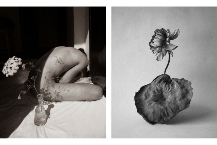 The Extraordinary Within Ordinary Self-potrait | Dead lotus and a leaf (right) The Extraordinary Within Ordinary Self-potrait | Dead lotus and a leaf (right)
