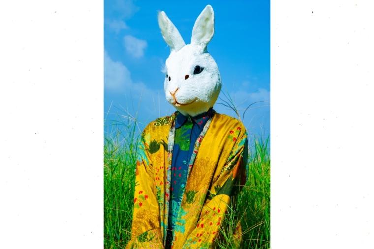 Up The Rabbit Hole  