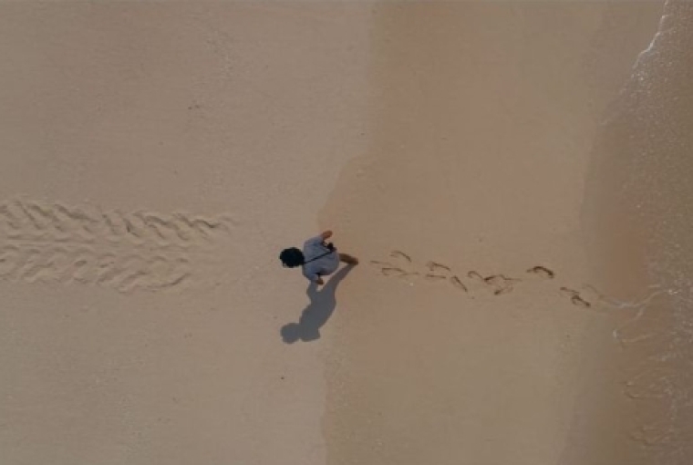 A Life Devoted to Sea Turtles A Life Devoted to Sea Turtles