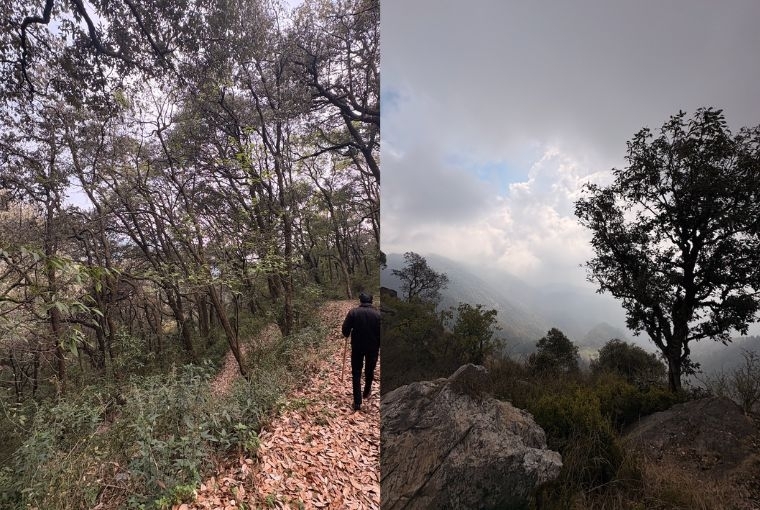 A Slow Travel Escape 