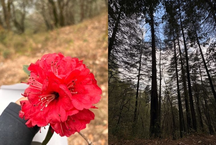 A Slow Travel Escape 