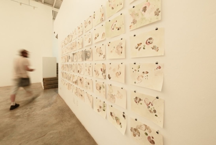 Anuja Dasgupta Develops Photos Without a Camera Anuja Dasgupta Develops Photos Without a Camera