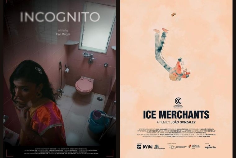 Big Stories Small Packages 