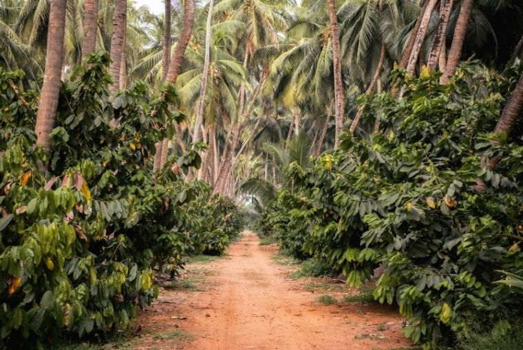 Chaitanya Muppala 