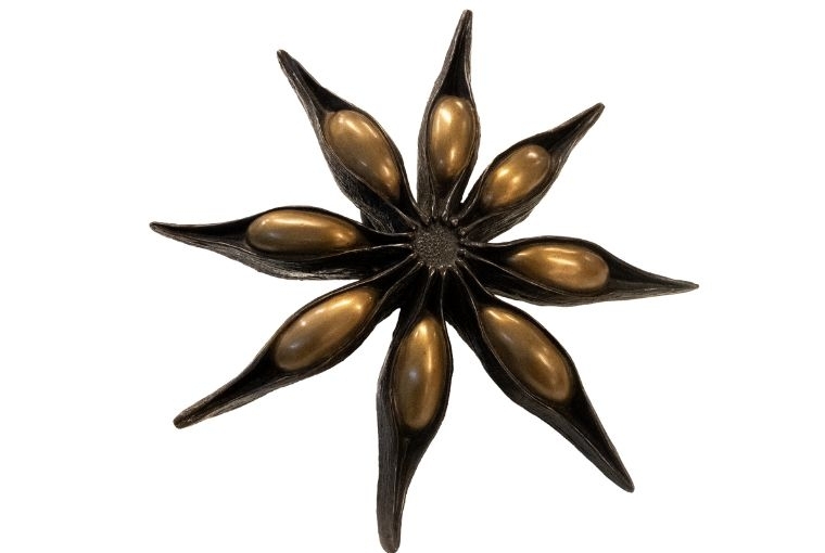 Chromatic Currents Anise One