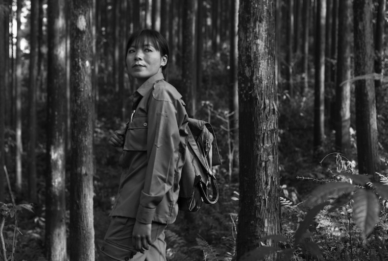 Forest Gumption Forest Gumption