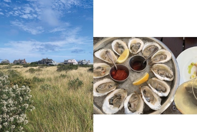 From Away, A Weekend in Nantucket R: Oysters at Cisco Brewery