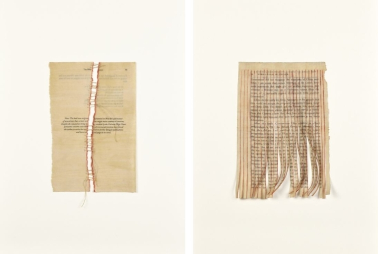In The Language of Silence Split, 2025 (left) | Himalayan-Blunder, 2025 (right) 