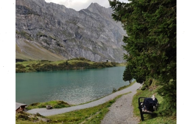 Mise En Scene: A European Street Screenplay The Ober Trüebsee Alpine pasture, Switzerland Mise En Scene: A European Street Screenplay The Ober Trüebsee Alpine pasture, Switzerland