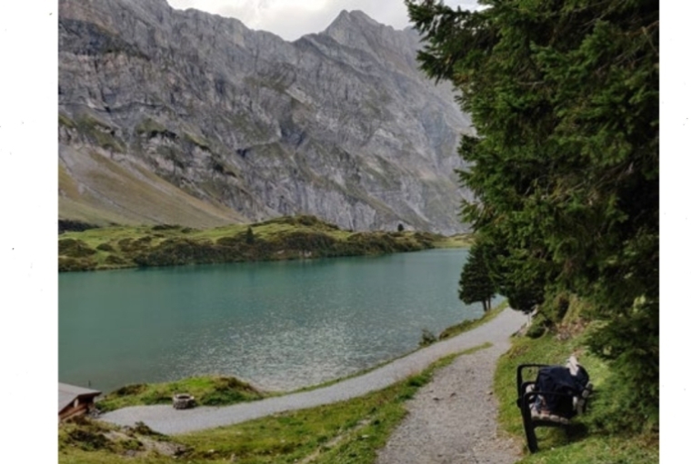 Mise En Scene: A European Street Screenplay The Ober Trüebsee Alpine pasture, Switzerland