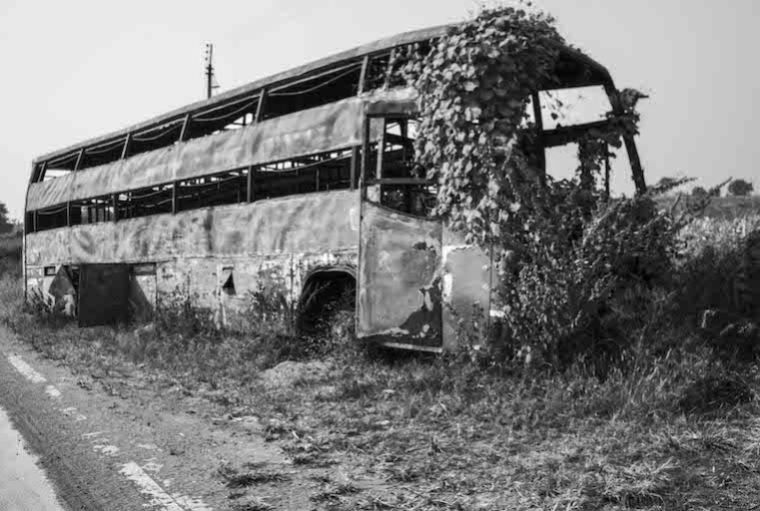 Nature Strikes Back : Photographs by Emmanuel Lenain  Aurangabad, Maharashtra, November 2022, 24 x 35 inches