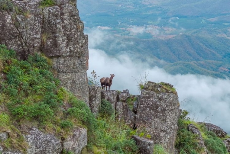 India’s Blue Mountains 