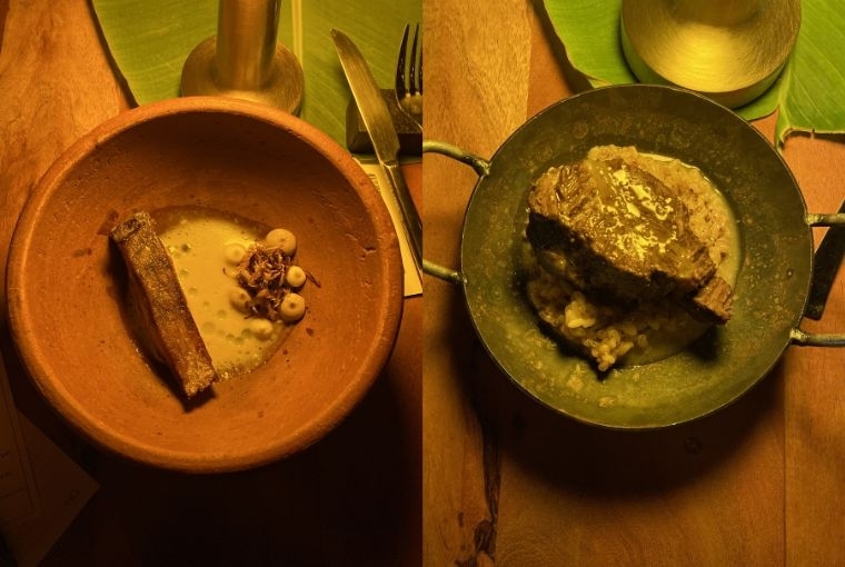 Tideline  L: Aged Fish and Charred Cabbage R: Pokkali Rice and Beef Cheeks