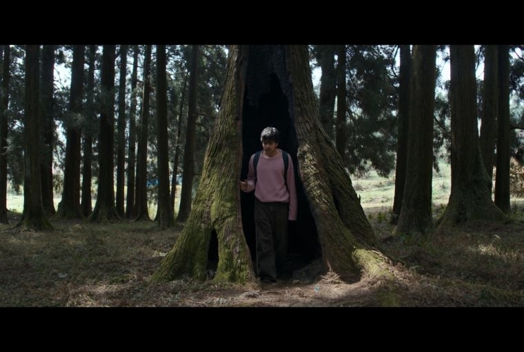 Voices of the Land: Tales of North East 