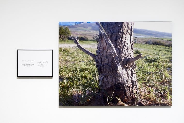 Where We Come From Emily Jacir Where We Come From (Iyad) Text: 9. 5 x 11.5 in; photo: 27 x 36 in 2001–2003